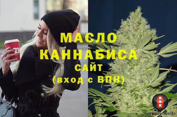 стафф Новозыбков