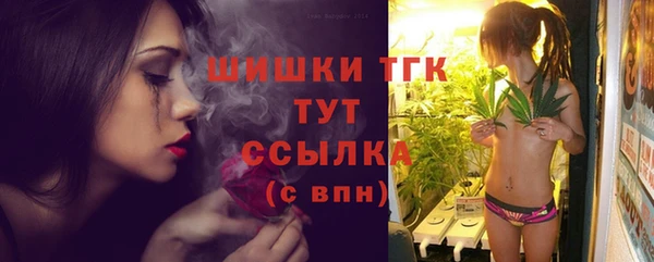 ПСИЛОЦИБИНОВЫЕ ГРИБЫ Корсаков