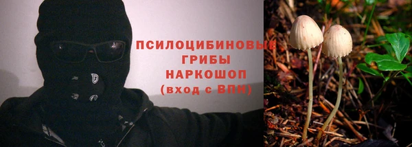 герыч Инта