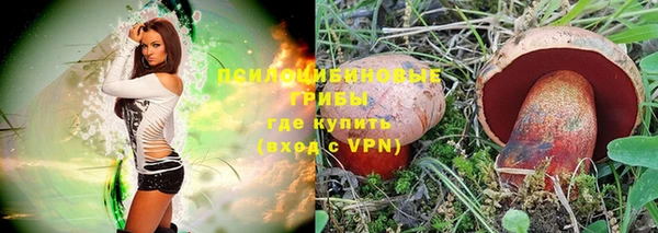 ПСИЛОЦИБИНОВЫЕ ГРИБЫ Корсаков
