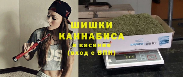ПСИЛОЦИБИНОВЫЕ ГРИБЫ Корсаков